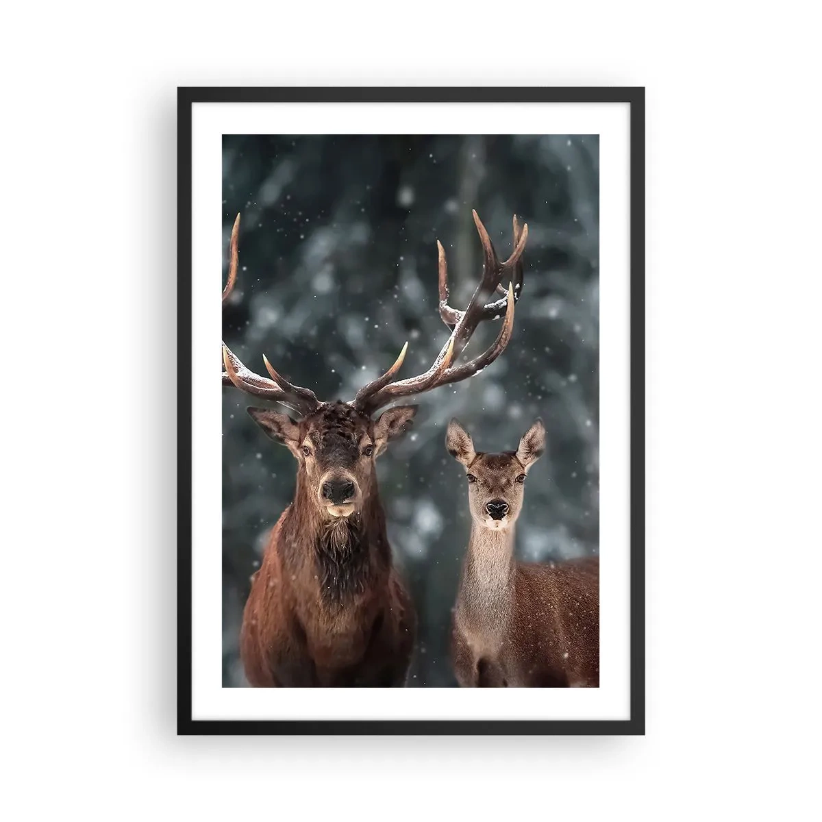 Poster in black frame - A pair of deer against the backdrop of a winter forest - 50x70cm - Master of the Forest with His Wife - Modern wall decoration for the living room and bedroom ARTTOR