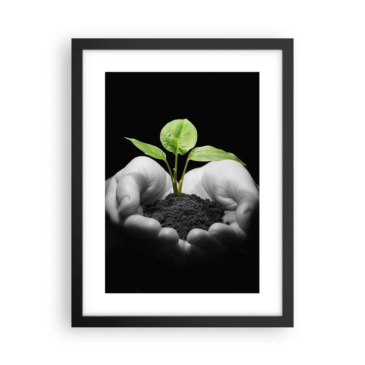 Poster in black frame - I Love Nature, I Protect It - 30x40 cm