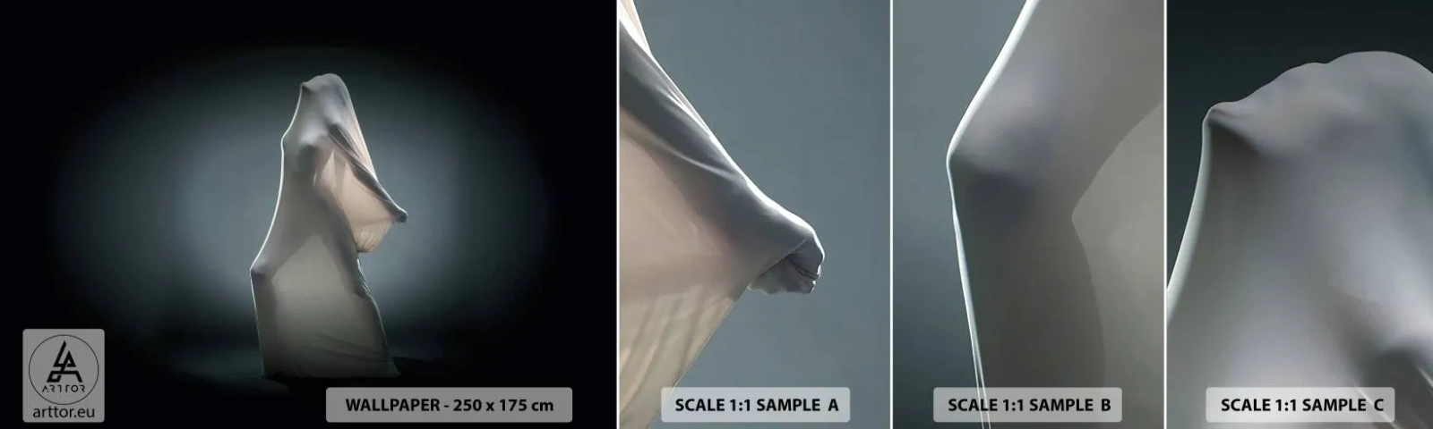 Photo Wallpaper Sample Standard Eco - Hidden Desires - Woman, Dance, Piece - 100x30 cm