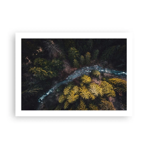 Poster - Fast and Faster - 70x50 cm