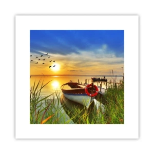 Poster - Cormorants Are Flying Away - 30x30 cm