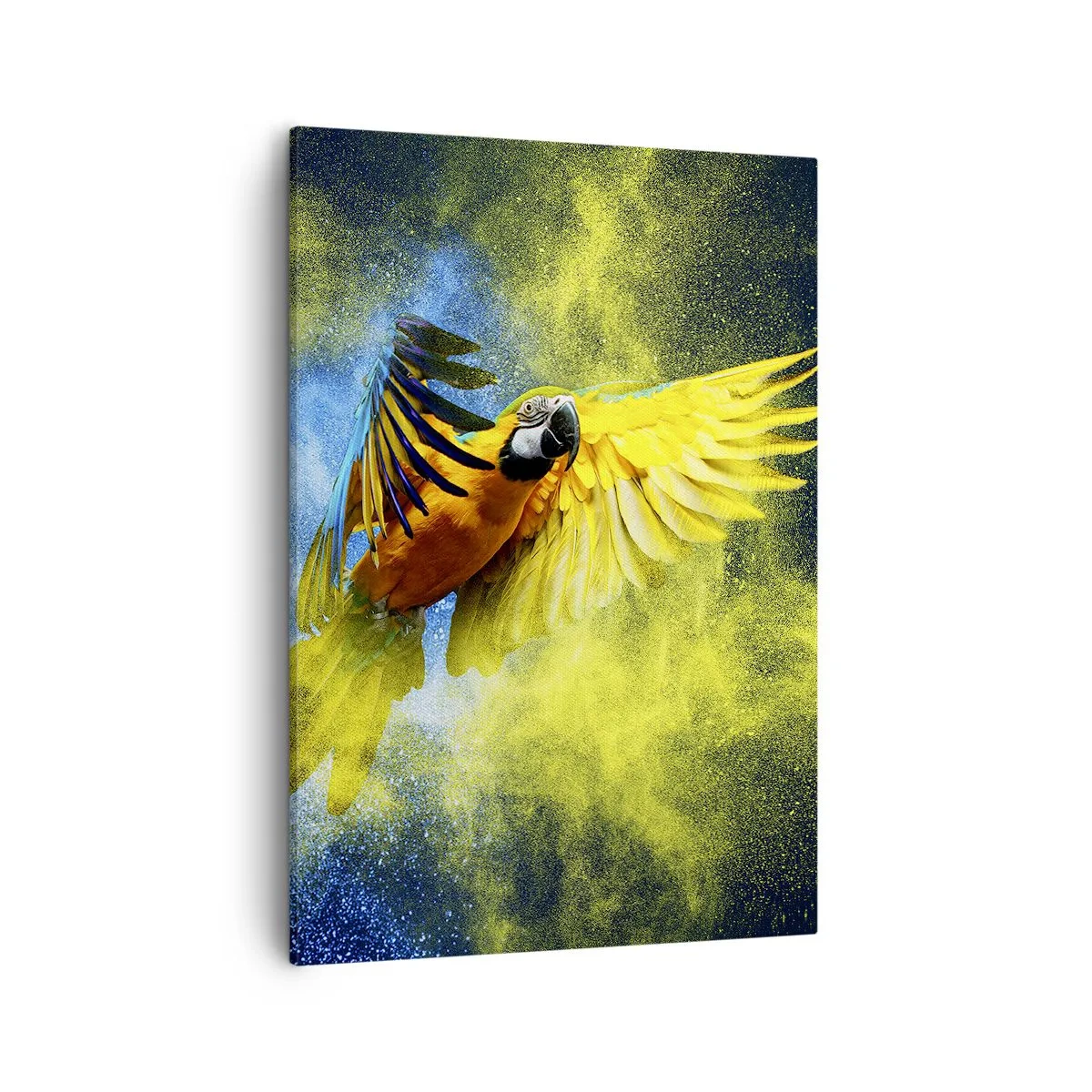 Canvas picture - In Blue and Gold Dust - 50x70 cm