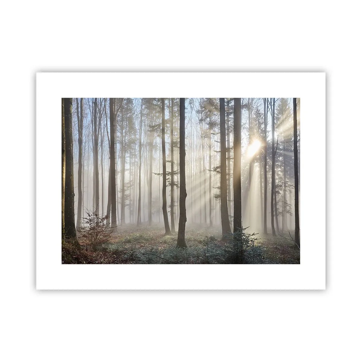 Poster - Fog Has Woken up Too - 40x30 cm