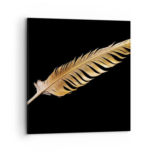 Canvas picture - High-Class Feather - 70x70 cm