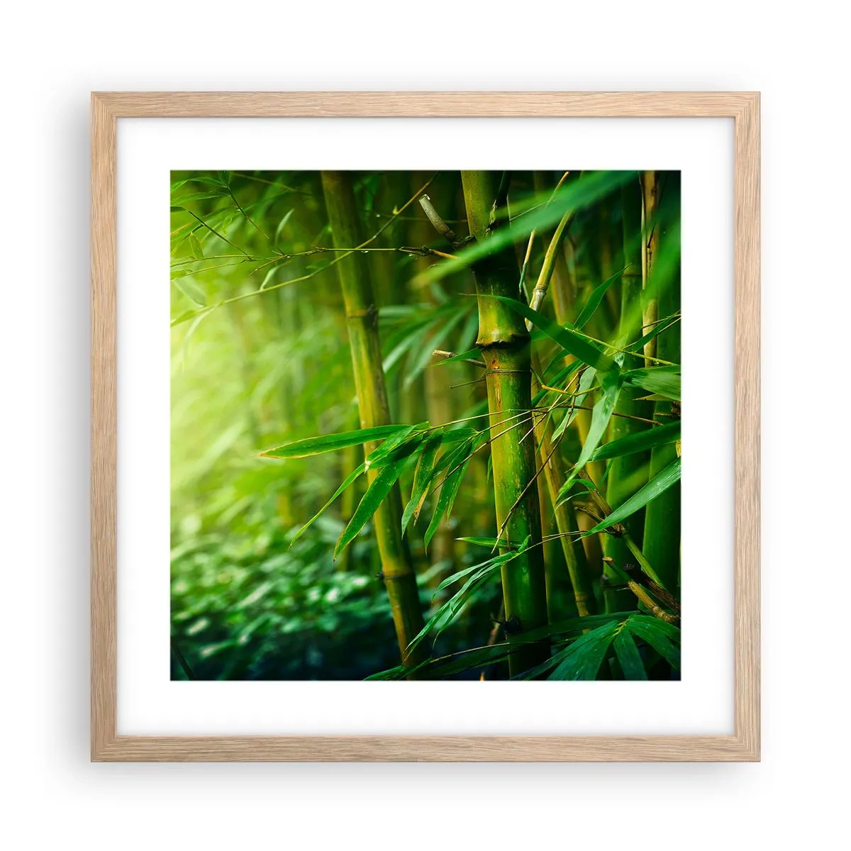 Poster in light oak frame - Getting to Know the Green - 40x40 cm