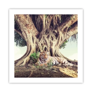 Poster - View from the Genesis - 50x50 cm