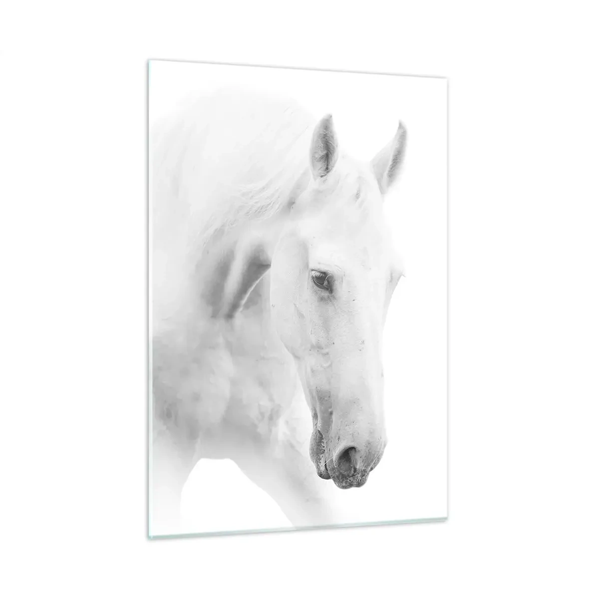 Glass picture - Is this friendship…? - 50x70 cm