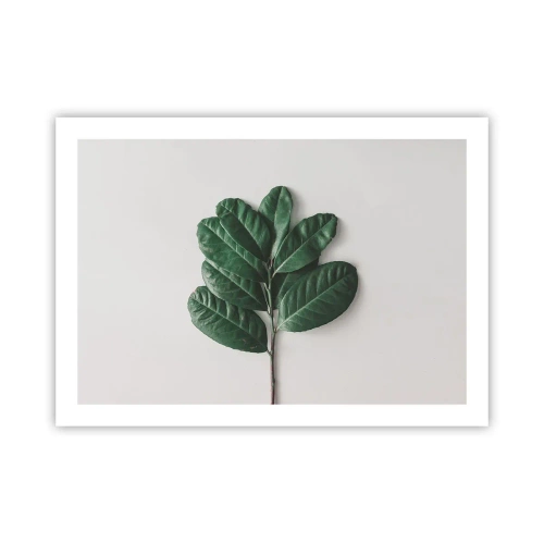 Poster - Drawing of Nature Itself - 70x50 cm