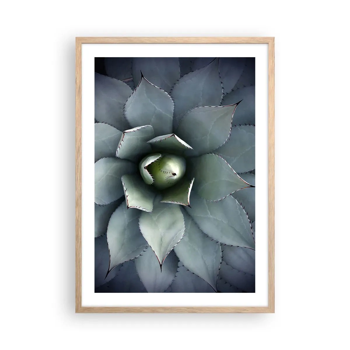 Poster in light oak frame - Attracts and Warns - 50x70 cm