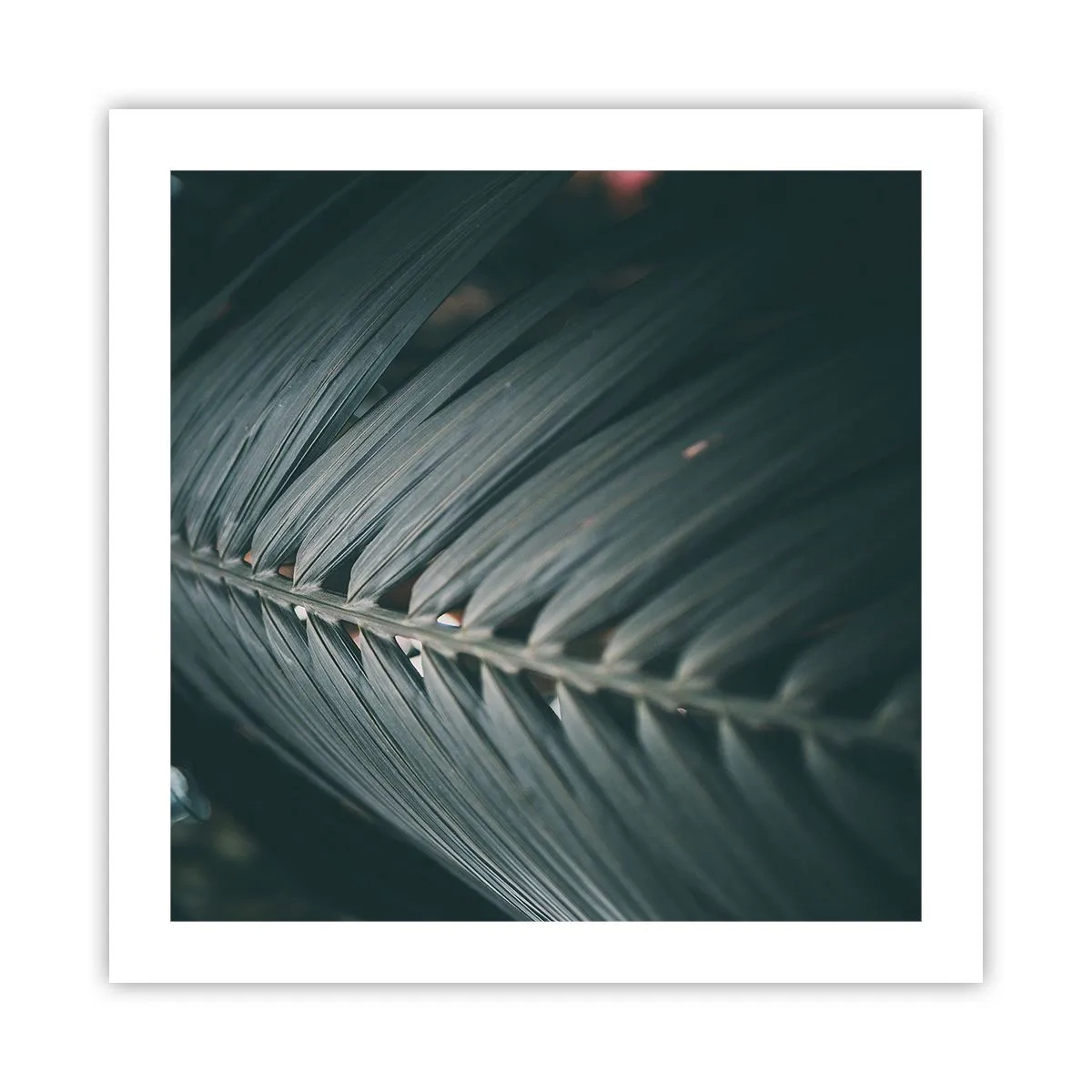 Poster - Precision of Nature - 50x50 cm