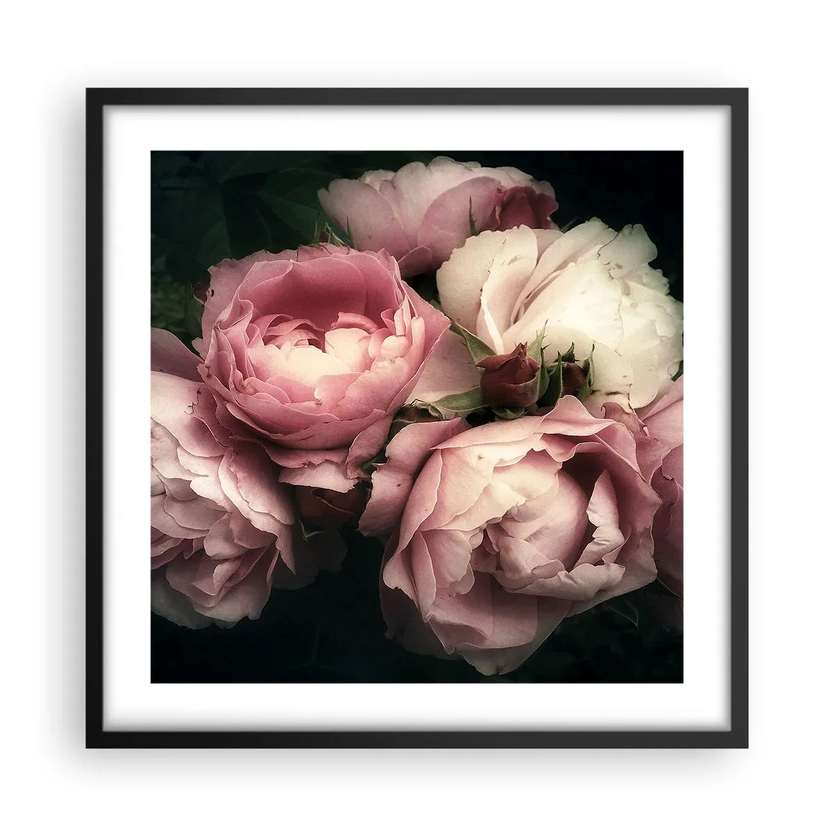 Poster in black frame - Belle Epoque Charm - 50x50 cm