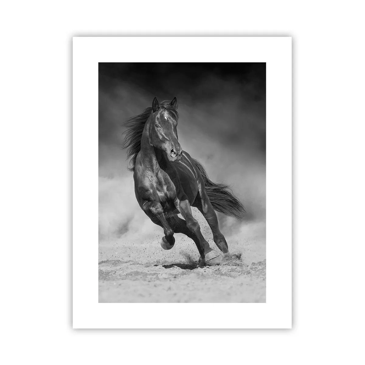 Poster - Worthy of Emir Himself - 30x40 cm