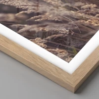 Light Oak