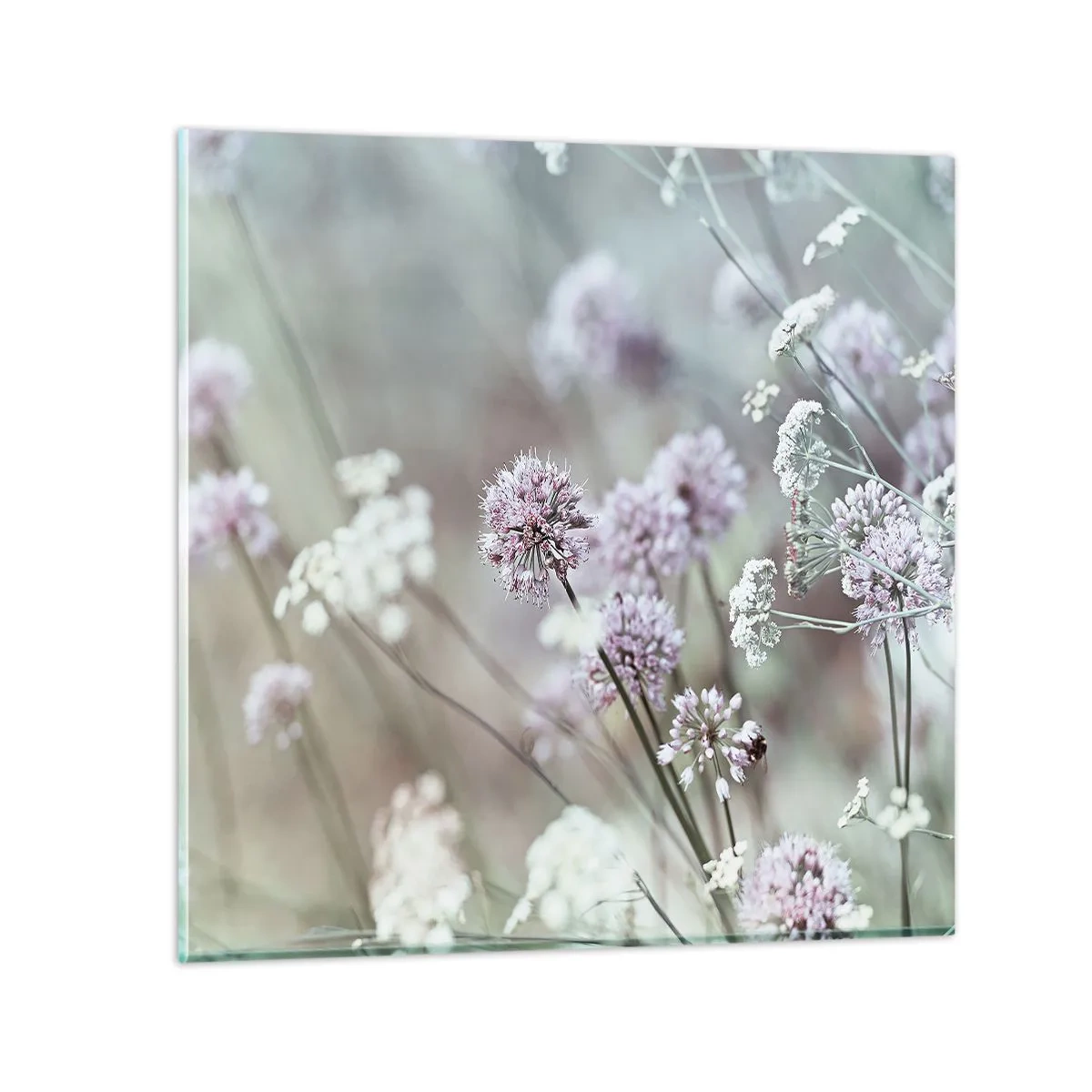 Glass picture - Sweet Filigrees of Herbs - 60x60 cm