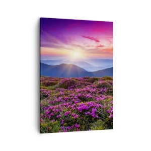 Canvas picture - Smells Strongly of Herbs - 50x70 cm