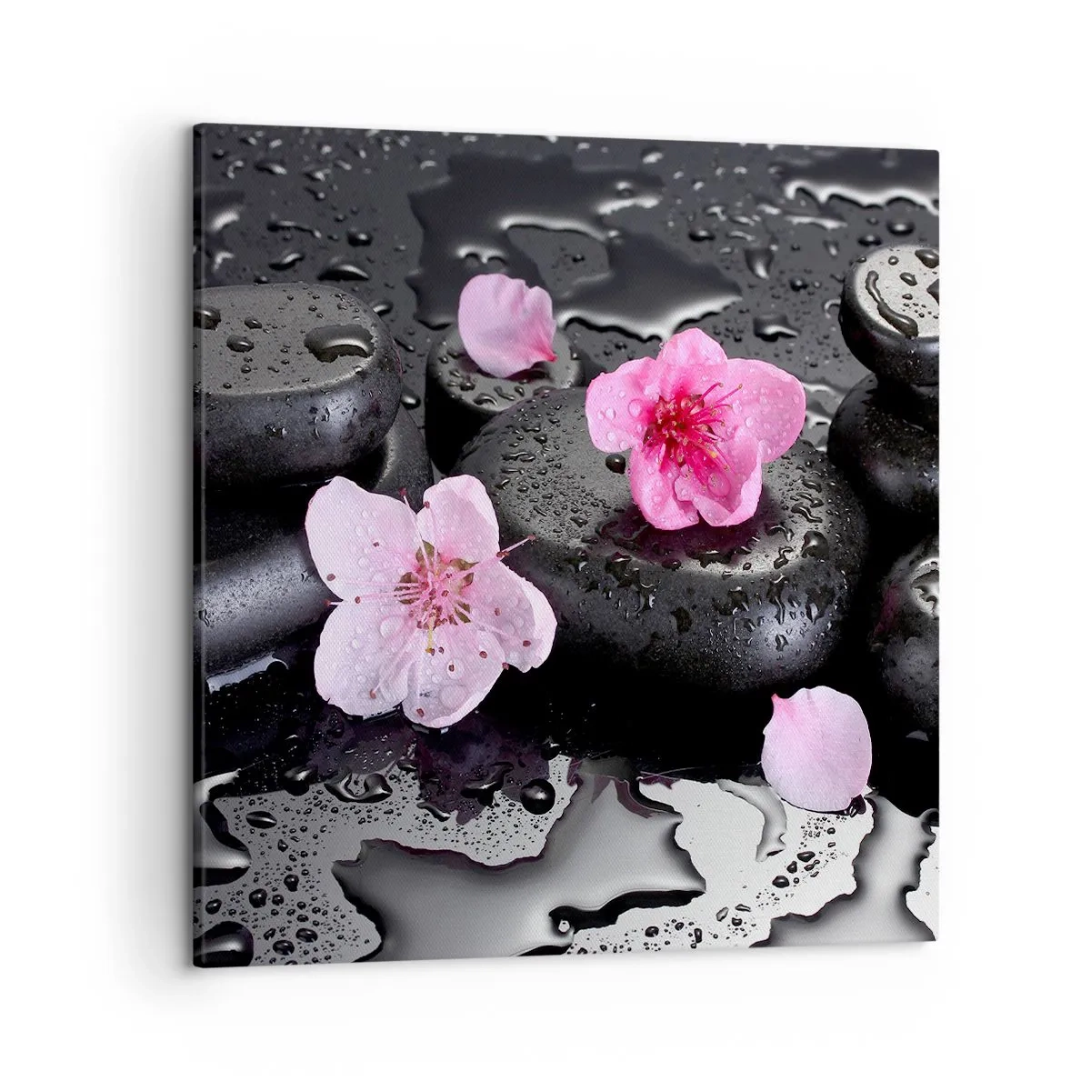 Canvas picture - Black Zen Stones - 50x50 cm