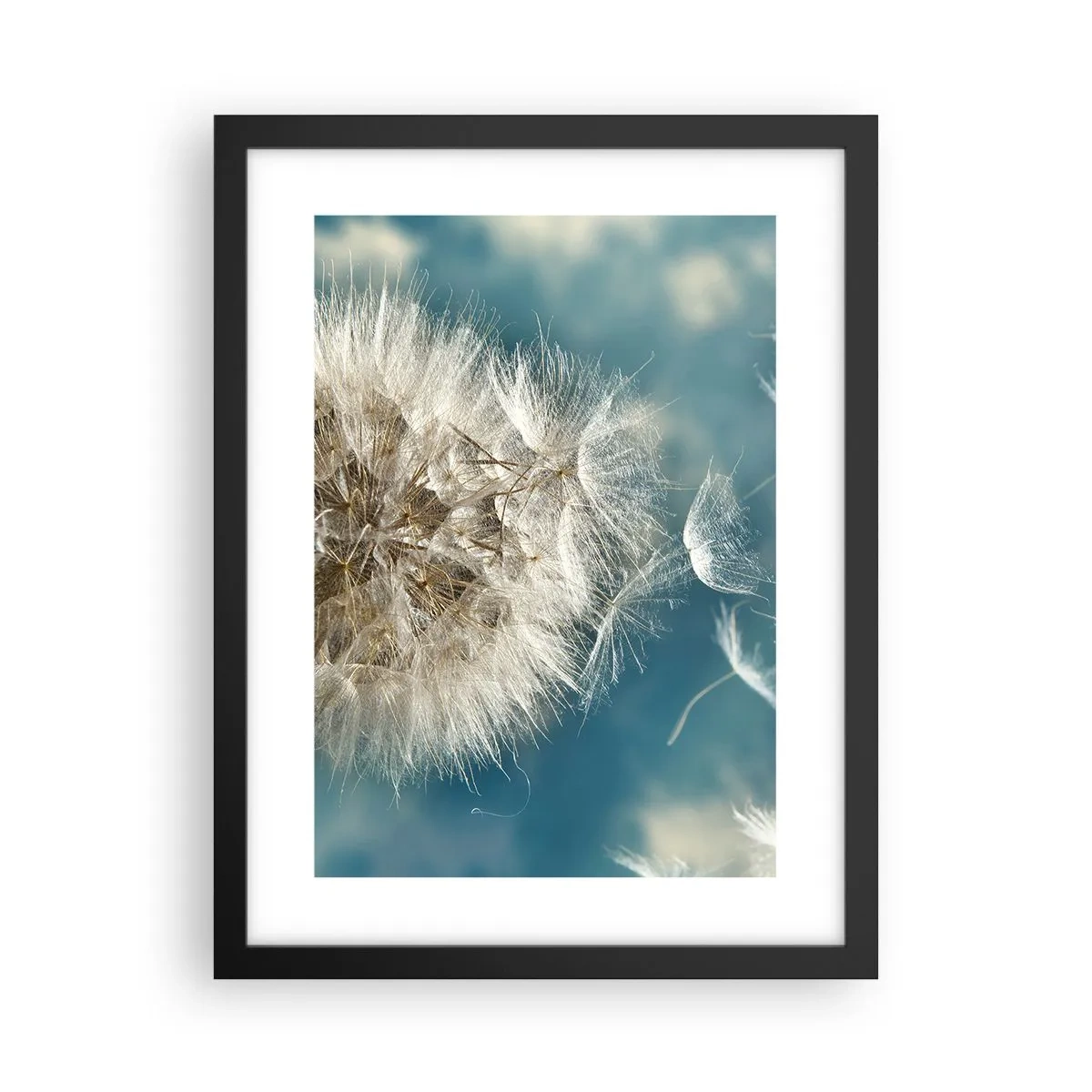 Poster in black frame - Breath of an Angel - 30x40 cm