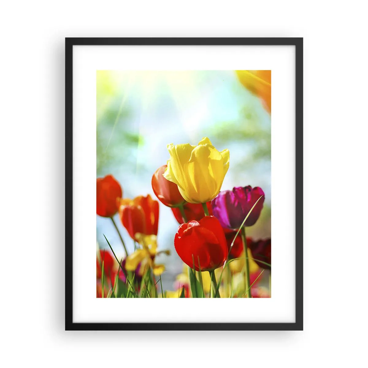 Poster in black frame - All Colours of the Sun - 40x50 cm