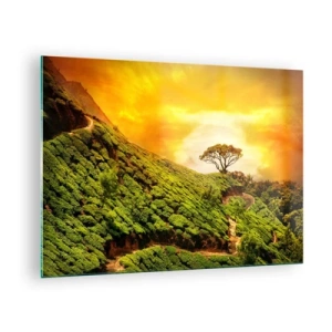 Glass picture - Green hills with a lone tree at sunset - 70x50cm - Winding Path, Green Slope - Modern wall decoration for the living room and bedroom ARTTOR