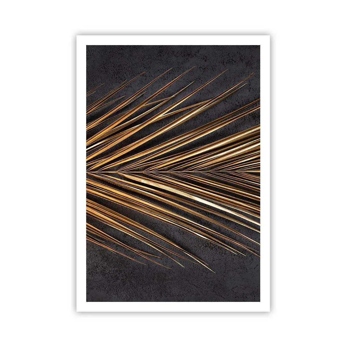 Poster - Gold of the Tropics - 70x100 cm