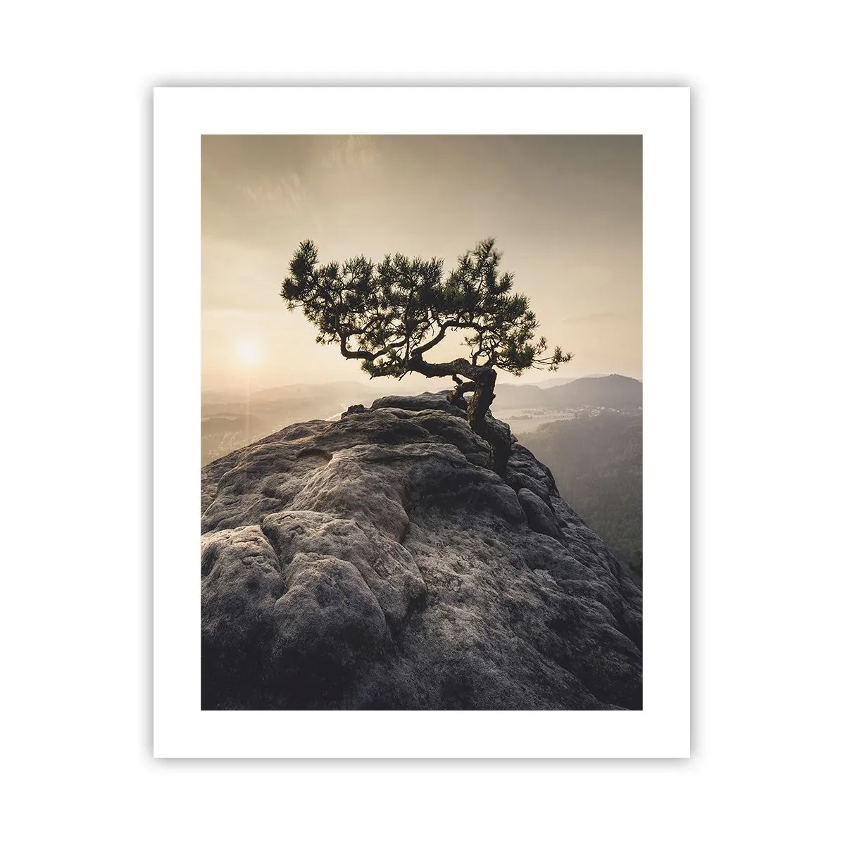 Poster - Life Always Wins - 40x50 cm