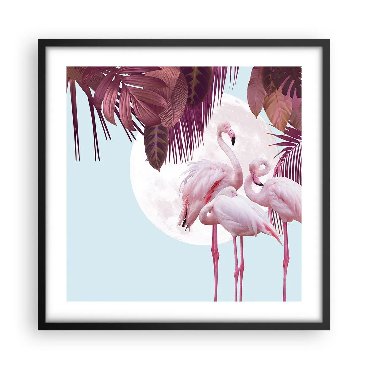 Poster in black frame - Three Bird Graces - 50x50 cm