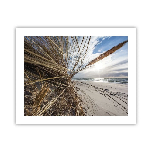 Poster - Enounter of the Elements - 50x40 cm