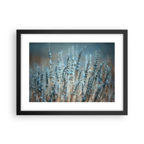 Poster in black frame - Fragrant Grass - 40x30 cm