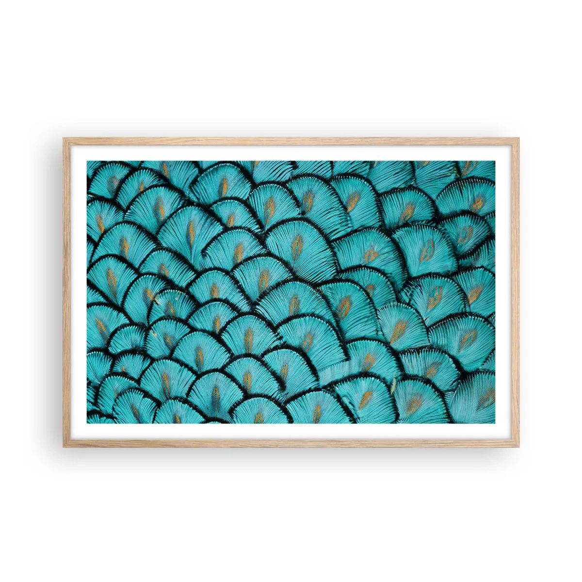 Poster in light oak frame - Great Feather Gala - 91x61 cm