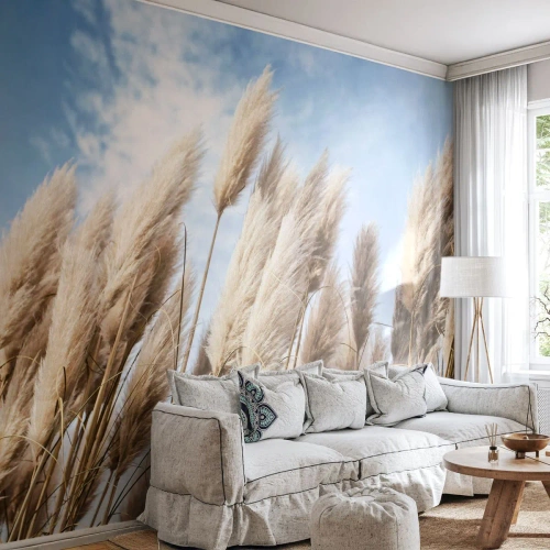 Custom Wallpaper Standard Eco - Caress of Sun and Wind - Pampas Grass, Nature, Boho