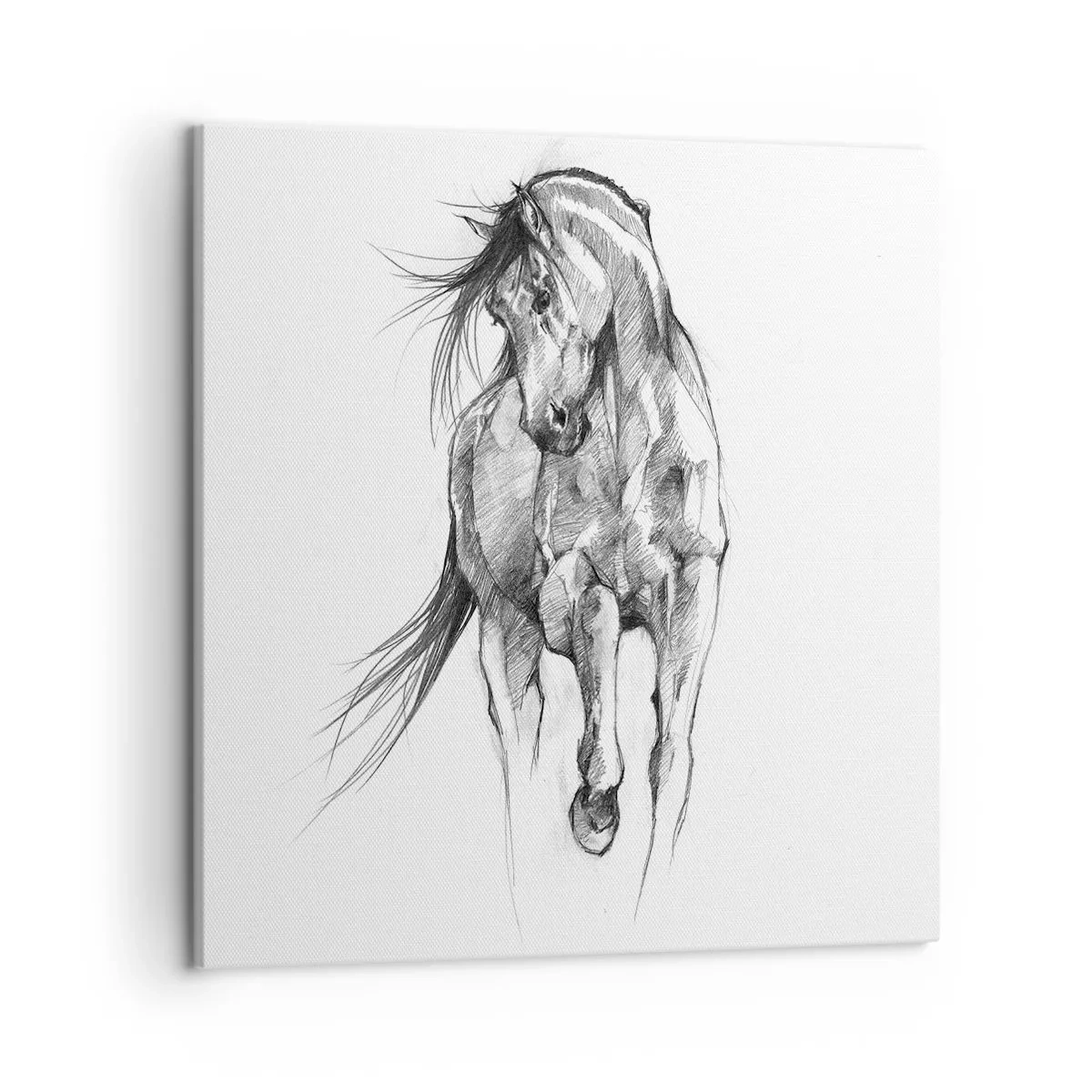 Canvas picture - In a Graceful Trot - 50x50 cm