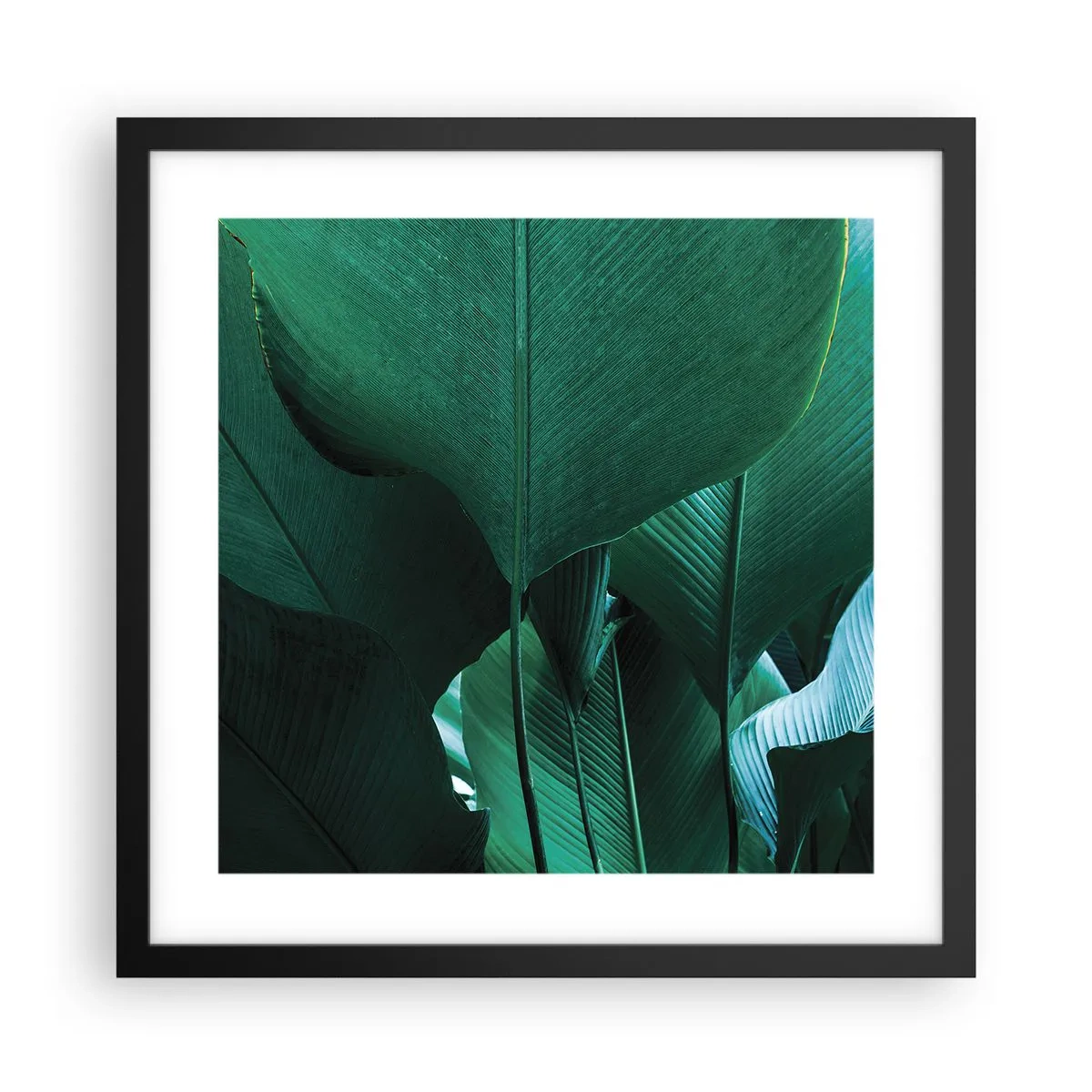 Poster in black frame - Turned towards Light - 40x40 cm