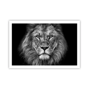 Poster - In Coronation Clothes - 91x61 cm