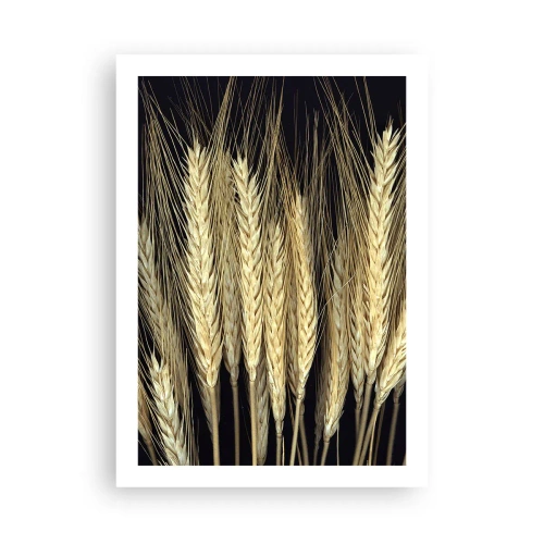 Poster - Rustic Magic - 50x70 cm