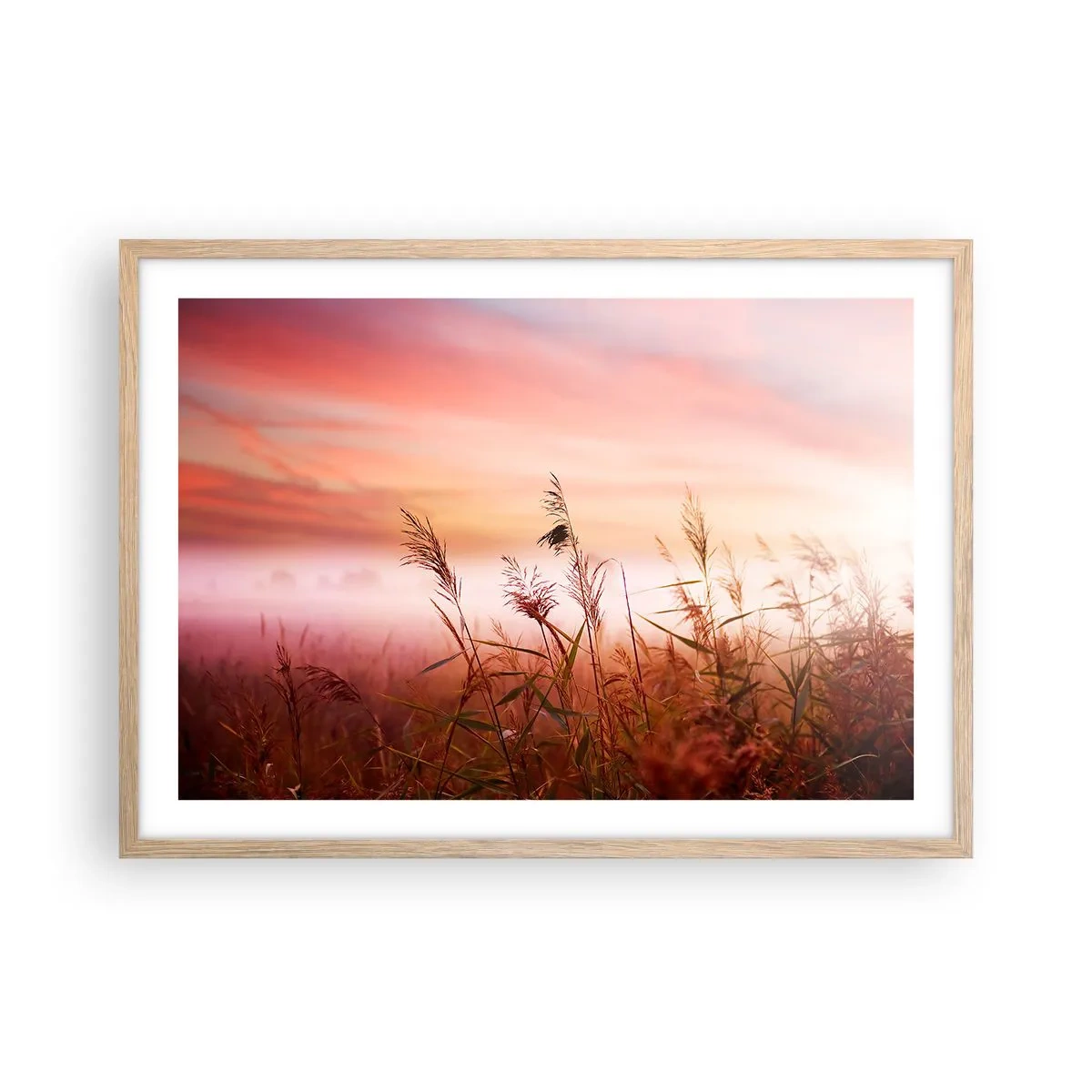 Poster in light oak frame - Blowing in the Wind - 70x50 cm