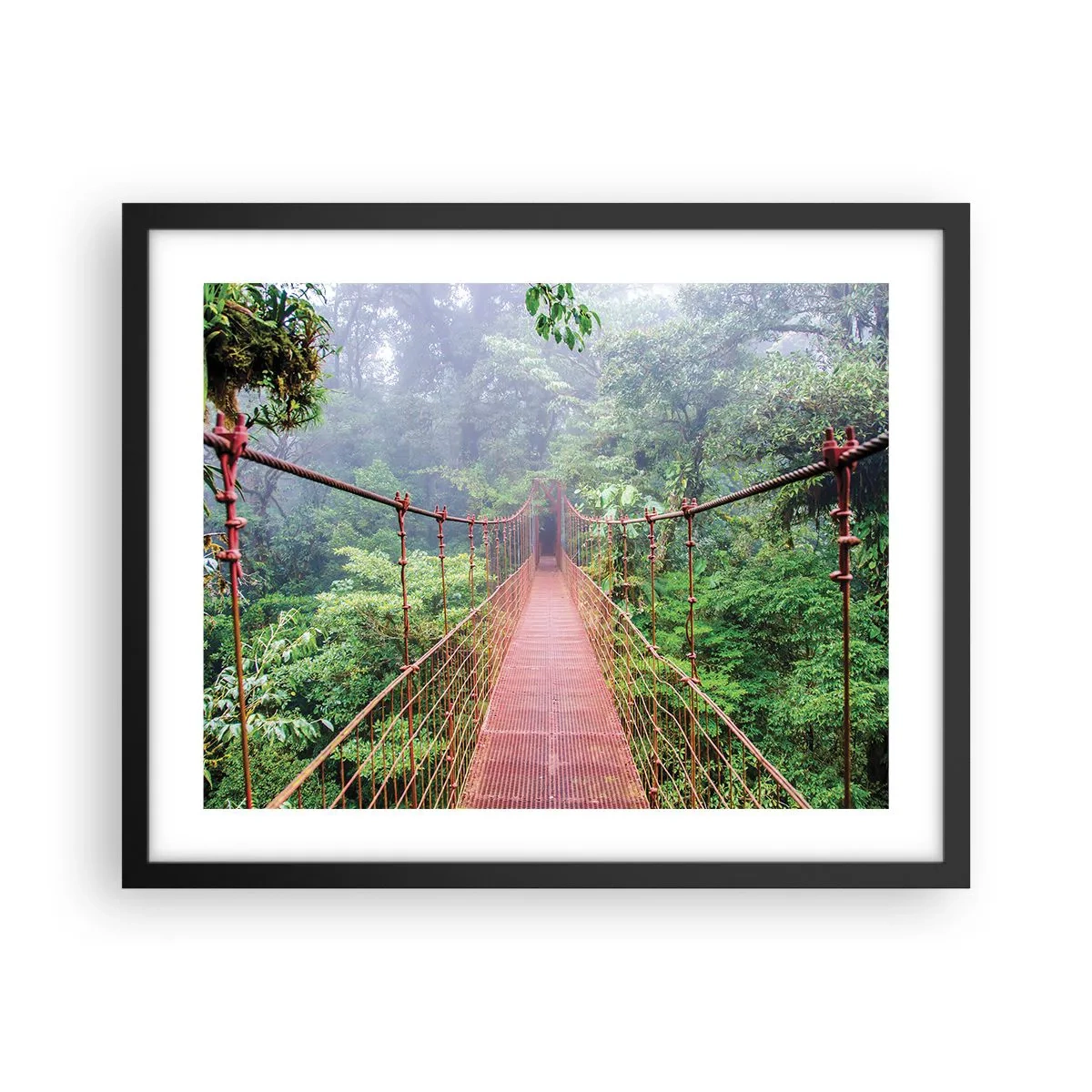 Poster in black frame - Suspended above Crowns - 50x40 cm