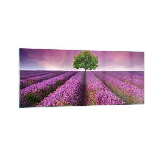 Glass picture - In the Fields of Lavender - 100x40 cm