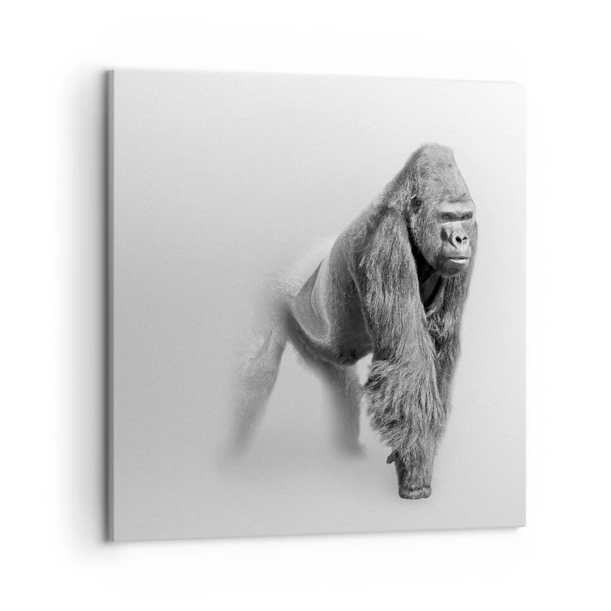 Canvas picture - Certain of Its Strength - 50x50 cm