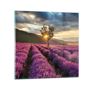 Glass picture - Lilac Coloured Aroma - 60x60 cm