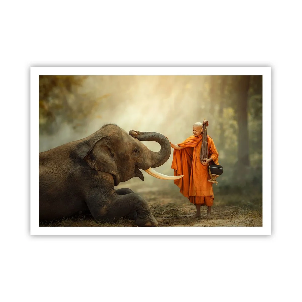 Poster - Unexpected Meeting - 100x70 cm