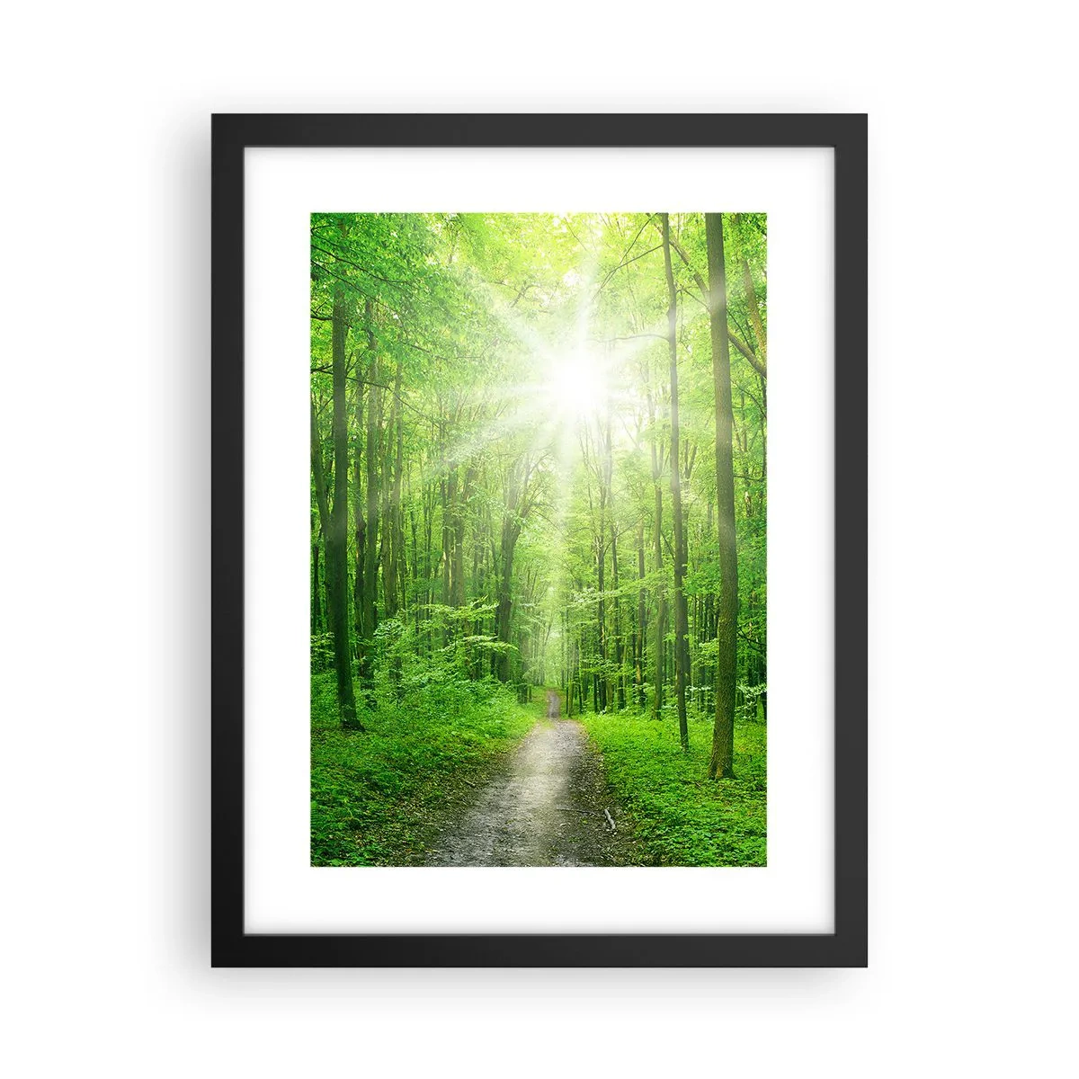 Poster in black frame - Green Cathedral - 30x40 cm