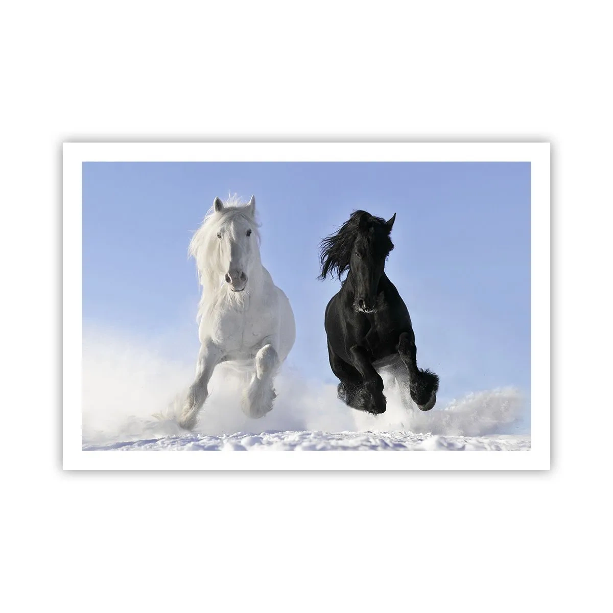 Poster - Black and White Gallop - 91x61 cm