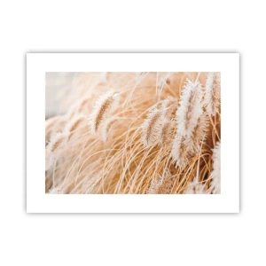 Poster - Golden Rustling of Grass - 40x30 cm