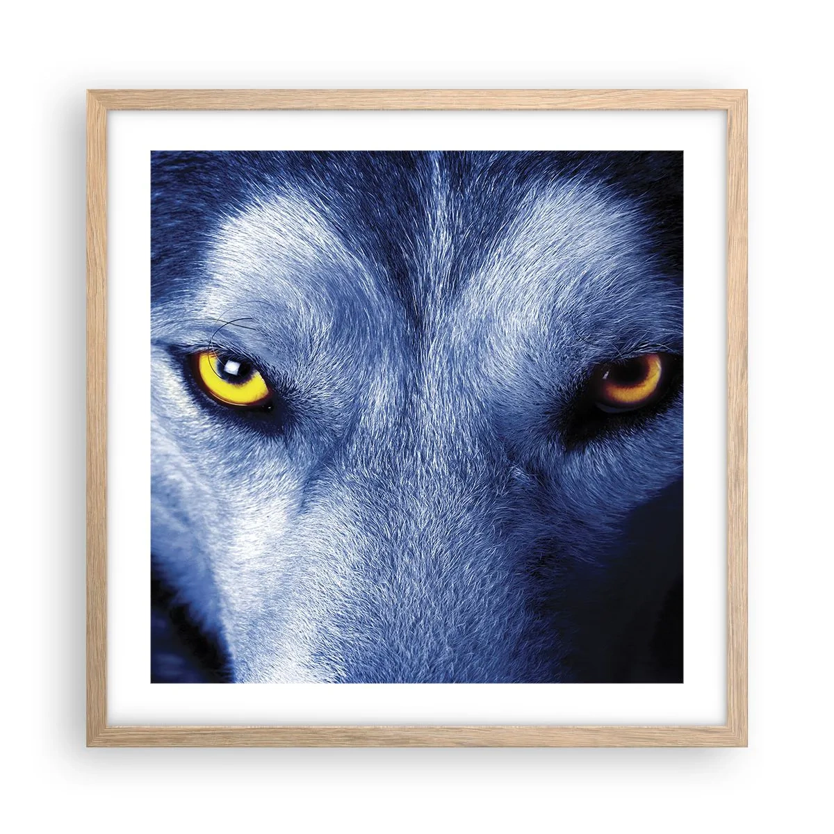Poster in light oak frame - Mesmerising Look - 50x50 cm