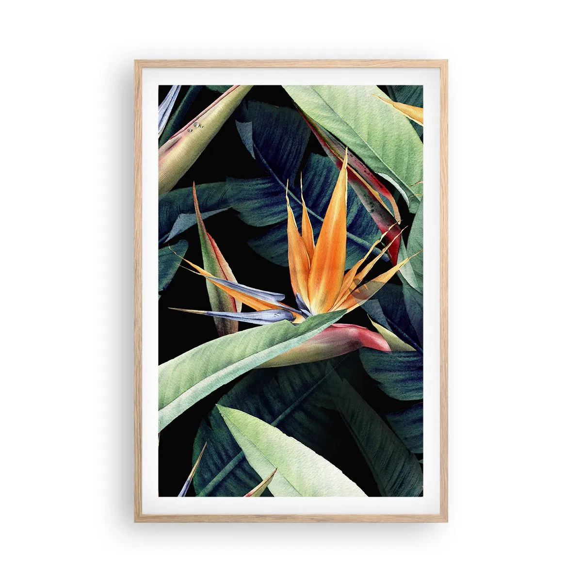 Poster in light oak frame - Flaming Flowers of the Tropics - 61x91 cm