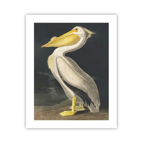 Poster - Full of Pride - 40x50 cm