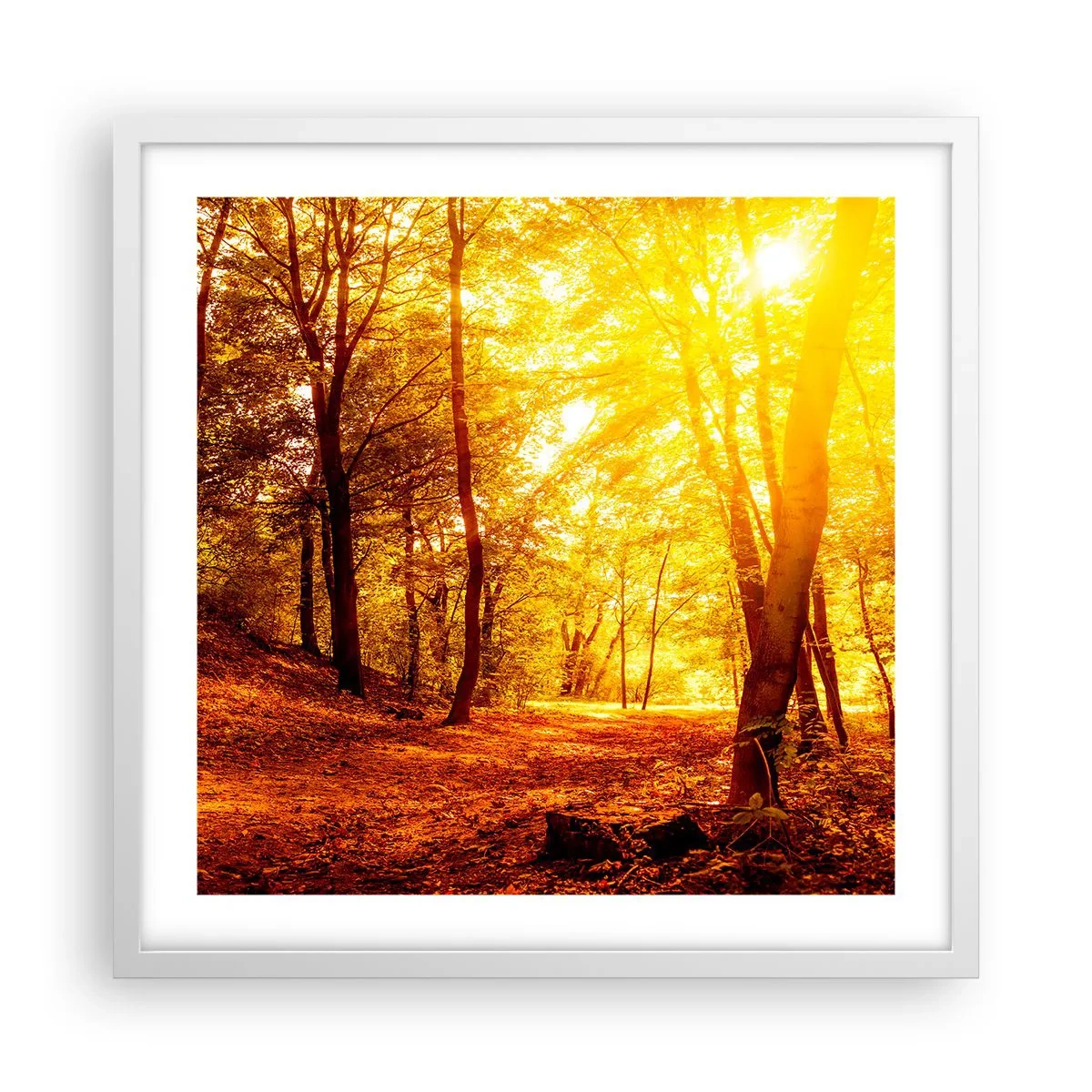 Poster in white frmae - Towards Golden Plain - 50x50 cm