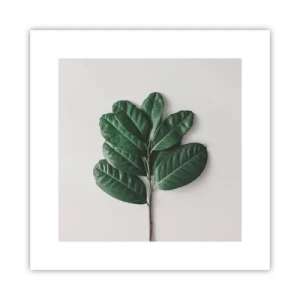 Poster - Drawing of Nature Itself - 30x30 cm