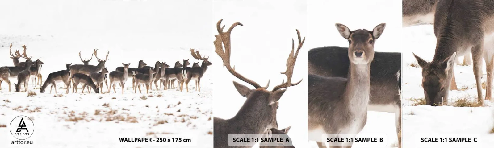 Photo Wallpaper Sample Self-Adhesive Deluxe Sticker - Is it Christmas Already? - Animals, Deer, Nature - 100x30 cm