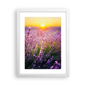 Poster in white frmae - Fragrant Field - 30x40 cm